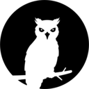 Logo de NIGHT OWL RECONNAISSANCE