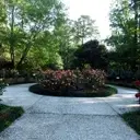 Logo of SAVANNAH AREA COUNCIL OF GARDEN CLUBS INC