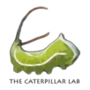 Logo of The Caterpillar Lab
