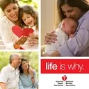 Logo of American Heart | Stroke Association