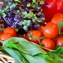 Logo of WOODINVILLE FARMERS MARKET