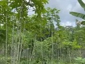 Logo of Mattlawie Ecological