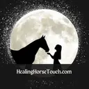 Logo of Healing Horse Touch Company