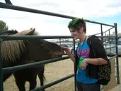 Logo of St. Francis Equine & Animal Rescue