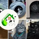 Logo of Catnip Casa Cat Refuge