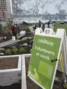 Logo of Rose Kennedy Greenway Conservancy
