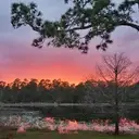 Logo of Veda foundation