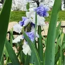 Logo of Tulsa Garden Center at Woodward Park