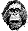 Logo of Orangutan Foundation International