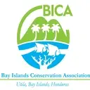 Logo of BAY ISLANDS CONSERVATION ASSOCIATION INC