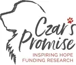 Logo of CZARS PROMISE INC