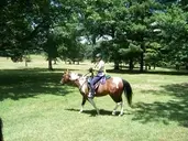 Logo of Southeast Pennsylvania Search and Rescue