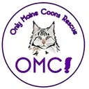 Logo of Only Maine Coons Rescue