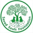 Logo of Saved Souls Foundation