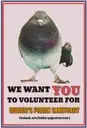 Logo de Bobber’s Pigeon Sanctuary