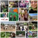 Logo of Women Organizing Resources, Knowledge and Services ( W.O.R.K.S.)