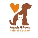 Logo of ANGELS4PAWS ANIMAL RESCUE