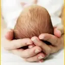 Logo of UC San Diego Natural Reserve System