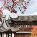 Logo of Lan Su Chinese Garden