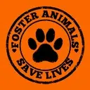 Logo of Flying Dog Rescue