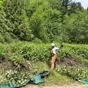 Logo of Snohomish County Healthy Forest Program