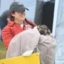 Logo of Humane Society for Greater Nashua