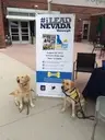 Logo of Canine Companions for Independence, Northern Nevada Comstock Chapter