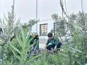 Logo of San Diego Natural History Museum