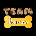 Logo de Fundación Team Perruno