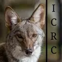 Logo of INDIANA COYOTE RESCUE CENTER INC