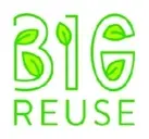 Logo of Big Initiatives