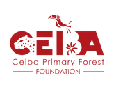 Logo of Ceiba Primary Forest Foundation