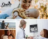 Logo of Spero Pregnancy Center