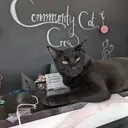 Logo of COMMUNITY CAT CREW CORPORATION