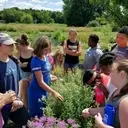 Logo of SHIMMERING LIGHT FARM & RENEWAL CENTER