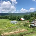 Logo of BETHLEHEM FARM INC