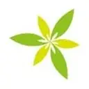 Logo of Save the Youth