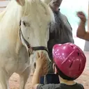Logo of SHINING STARS THERAPEUTIC RIDING PROGRAM INC