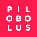 Logo of Pilobolus