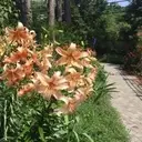 Logo of REST-STOP-RANCH INC