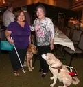 Logo of Guide Dogs of Hawaii