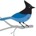 Logo of Eastside Audubon