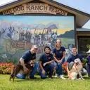 Logo of BIG DOG RANCH RESCUE INC