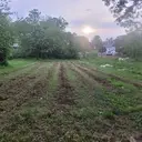 Logo of Sennel Gardens