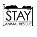Logo of STAY ANIMAL RESCUE