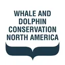 Logo de Whale and Dolphin Conservation