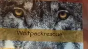 Logo of Wolfpack Rescue