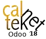 Logo of Caltek.net
