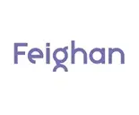 Logo of The Feighan Team