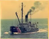 Logo of Lilac Preservation Project